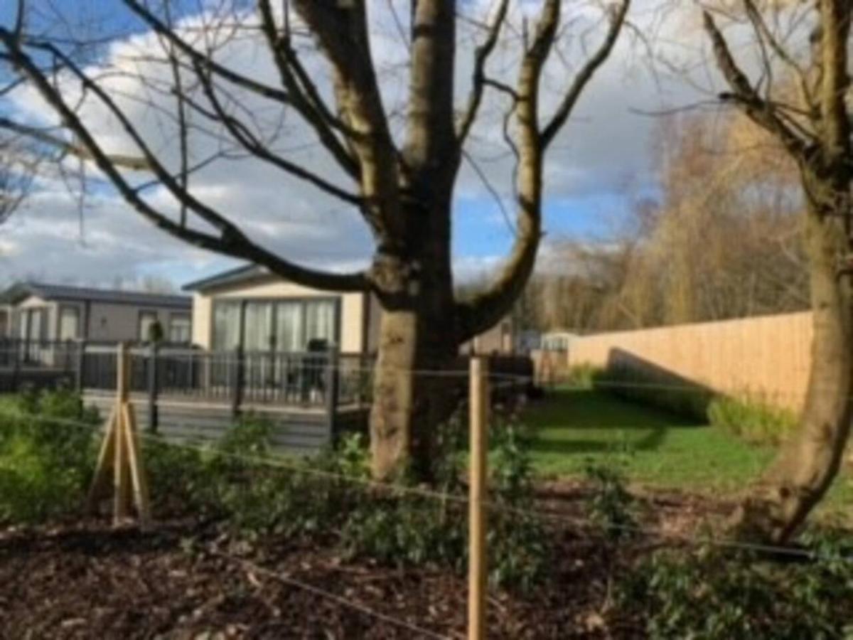 Captivating Bluebell Lodge 2-Bed Cotswolds Caravan Cirencester Exteriör bild